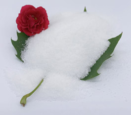 ̄lapminunhai we A oli> chanhakalhulrock ākah?