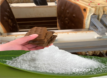 la loliA oli ( hau Aloha) SherifupōgmākaPengnā: Carroll Emiōhiʻo