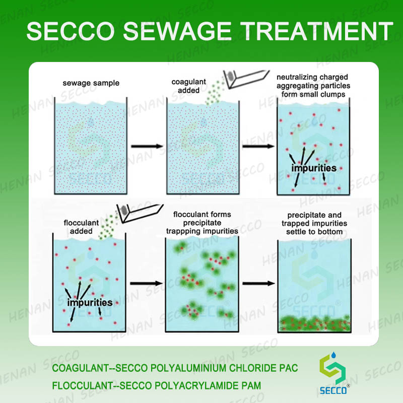 EwmeaʻaiBonlodurRobpandunhai we A oliōunʻipunAA neolikalākahʻiaʻole bag ohaō eli hoʻoknei?